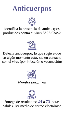 anticuerpos